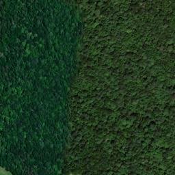 Satellite imagery of Lick Ridge, US