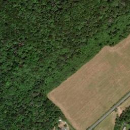 Satellite imagery of Lick Ridge, US