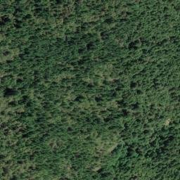 Satellite imagery of Cuneo Ridge, US