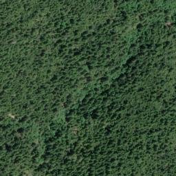 Satellite imagery of Cuneo Ridge, US