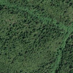 Satellite imagery of Cuneo Ridge, US