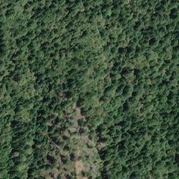 Satellite imagery of Thompson Bluff, US