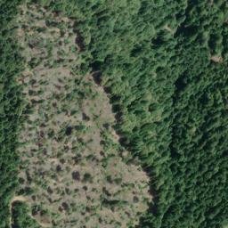 Satellite imagery of Thompson Bluff, US