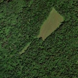 Satellite imagery of Lick Ridge, US