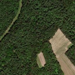 Satellite imagery of Grey Ridge, US