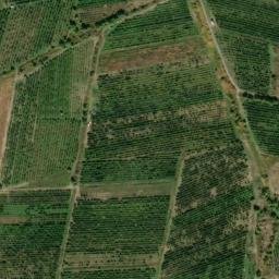 Satellite imagery of Areni, AM