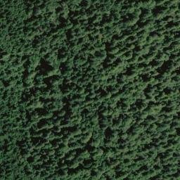 Satellite imagery of Grasshopper Creek Ridge, US
