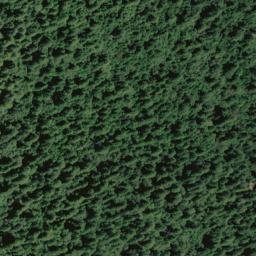 Satellite imagery of Grasshopper Creek Ridge, US
