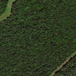 Satellite imagery of Grey Ridge, US