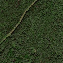 Satellite imagery of Grey Ridge, US