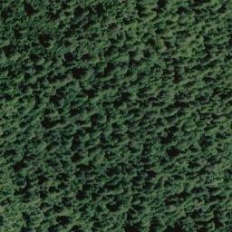 Satellite imagery of Grasshopper Creek Ridge, US