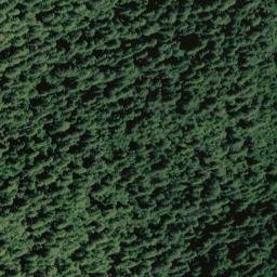 Satellite imagery of Grasshopper Creek Ridge, US