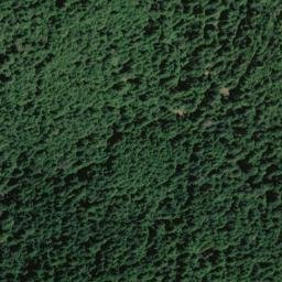 Satellite imagery of Grasshopper Creek Ridge, US