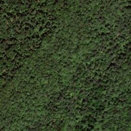 Satellite imagery of Creek Ridge, US