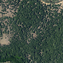 Satellite imagery of survey_point, PT