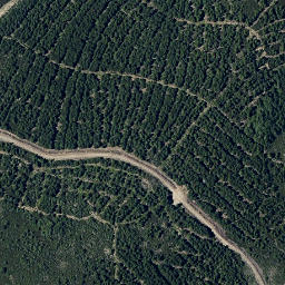 Satellite imagery of survey_point, PT