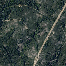 Satellite imagery of survey_point, PT
