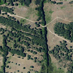 Satellite imagery of survey_point, PT