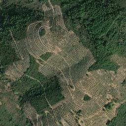 Satellite imagery of survey_point, PT