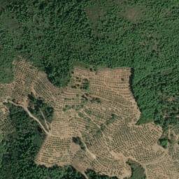 Satellite imagery of survey_point, PT