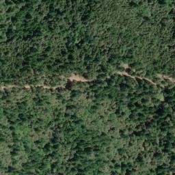 Satellite imagery of Burgess Ridge, US