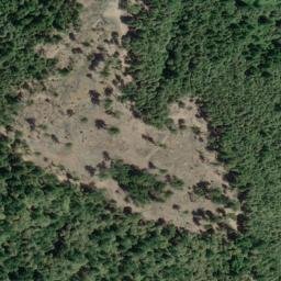 Satellite imagery of Burgess Ridge, US