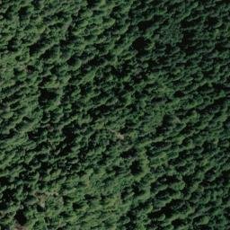 Satellite imagery of Hansen Ridge, US