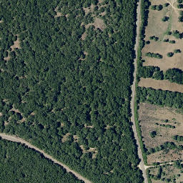 Satellite imagery of survey_point, PT