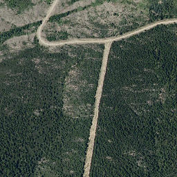 Satellite imagery of survey_point, PT