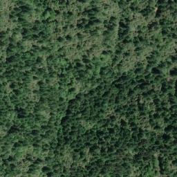 Satellite imagery of Burgess Ridge, US