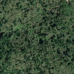 Satellite imagery of Burgess Ridge, US