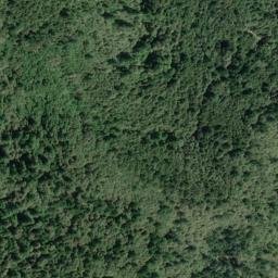 Satellite imagery of Burgess Ridge, US