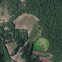 Satellite imagery of survey_point, PT