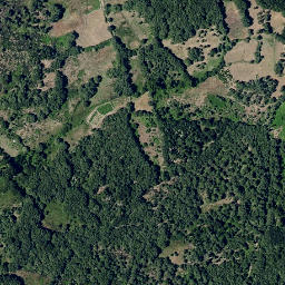 Satellite imagery of survey_point, PT