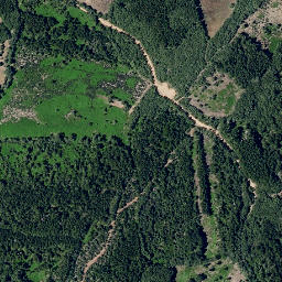 Satellite imagery of survey_point, PT