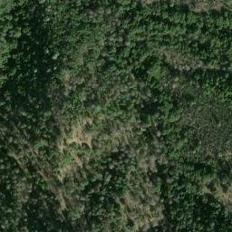 Satellite imagery of Walker Point, US