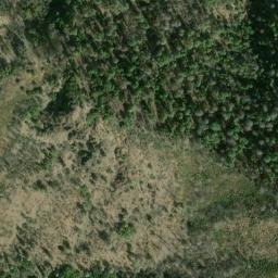 Satellite imagery of Walker Point, US