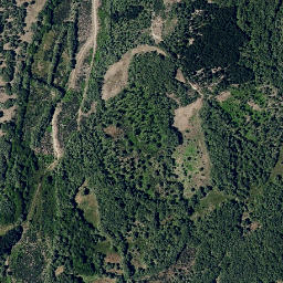 Satellite imagery of survey_point, PT