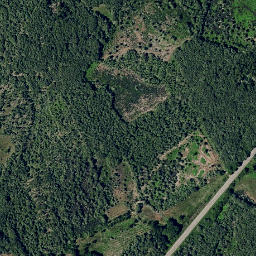 Satellite imagery of survey_point, PT