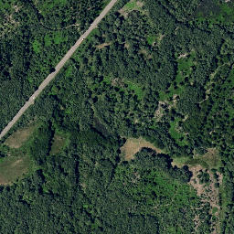 Satellite imagery of survey_point, PT