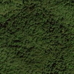 Satellite imagery of Martin Ridge, US