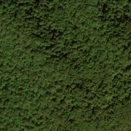 Satellite imagery of Martin Ridge, US