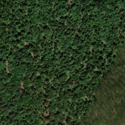 Satellite imagery of Buck Ridge, US