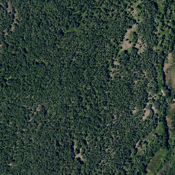 Satellite imagery of survey_point, PT