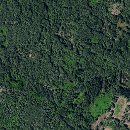 Satellite imagery of survey_point, PT