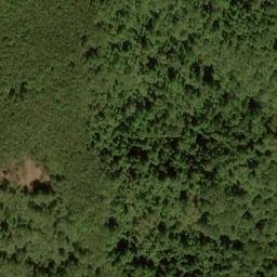 Satellite imagery of Forks Ridge, US