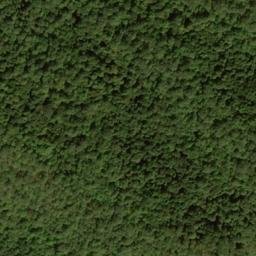 Satellite imagery of Conrad Ridge, US
