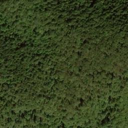 Satellite imagery of Conrad Ridge, US