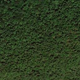 Satellite imagery of Buck Ridge, US