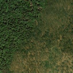 Satellite imagery of Buck Ridge, US